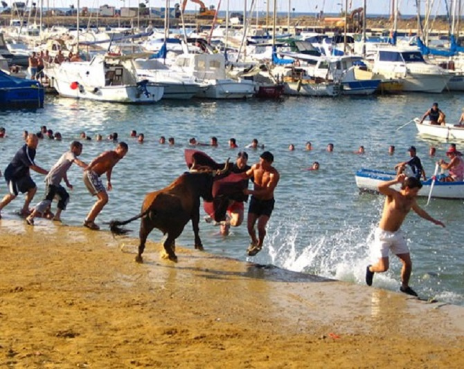 Fiesta de Los Toros en Denia 2025